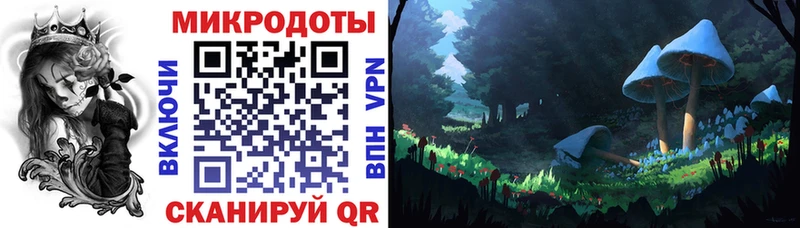 Псилоцибиновые грибы мицелий  Купить где  Староминская 